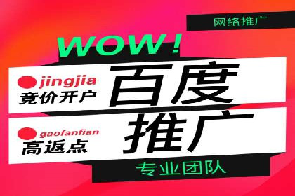 某品牌通过百度竞价提升线上销售业绩的案例